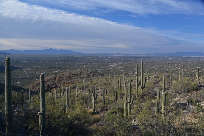 The Tucson Basin 